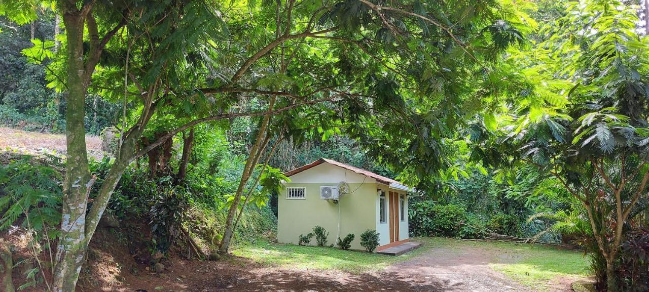Hostal Y Cabinas Anita-And Rafting Tour! Siqurres Da Alegria Buitenkant foto