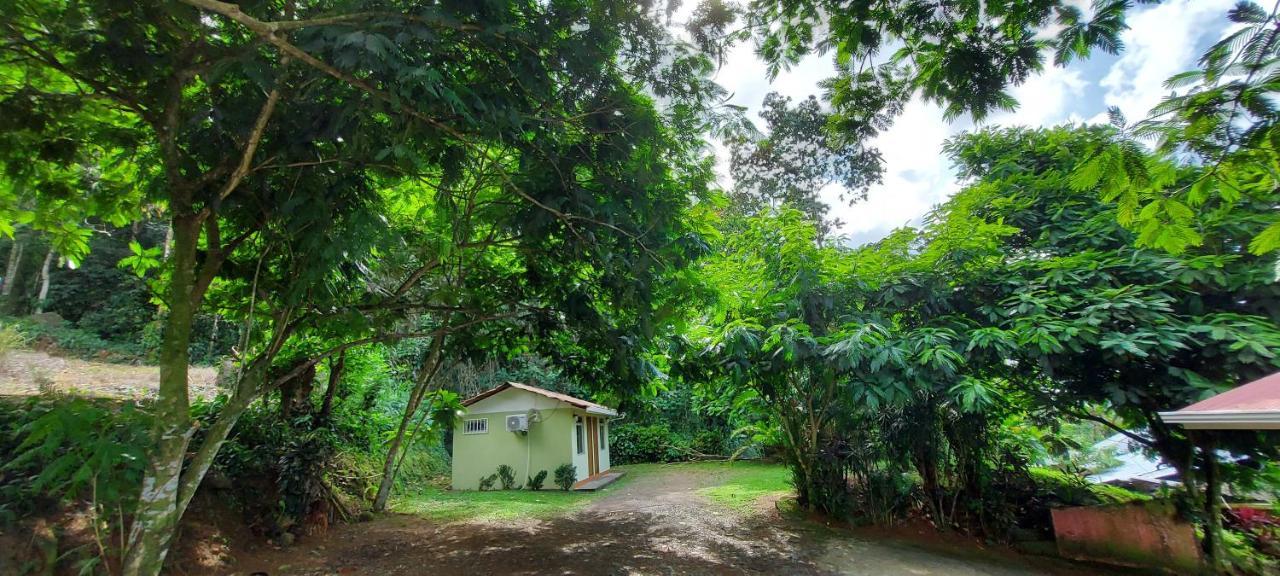 Hostal Y Cabinas Anita-And Rafting Tour! Siqurres Da Alegria Buitenkant foto